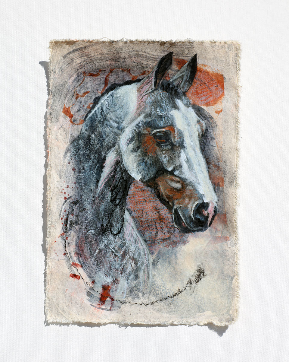 Case Study: Horse
