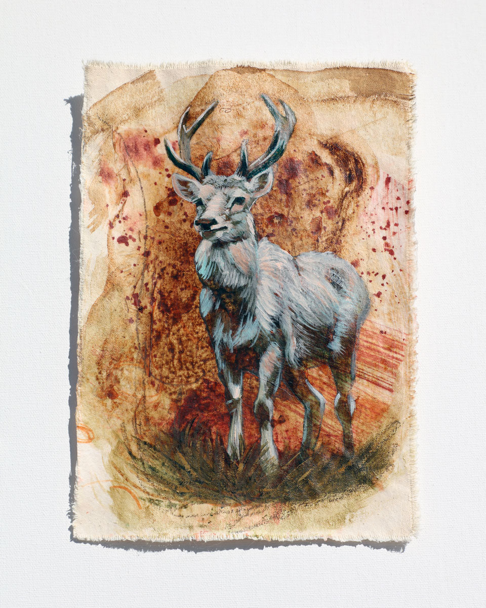 Case Study: Deer