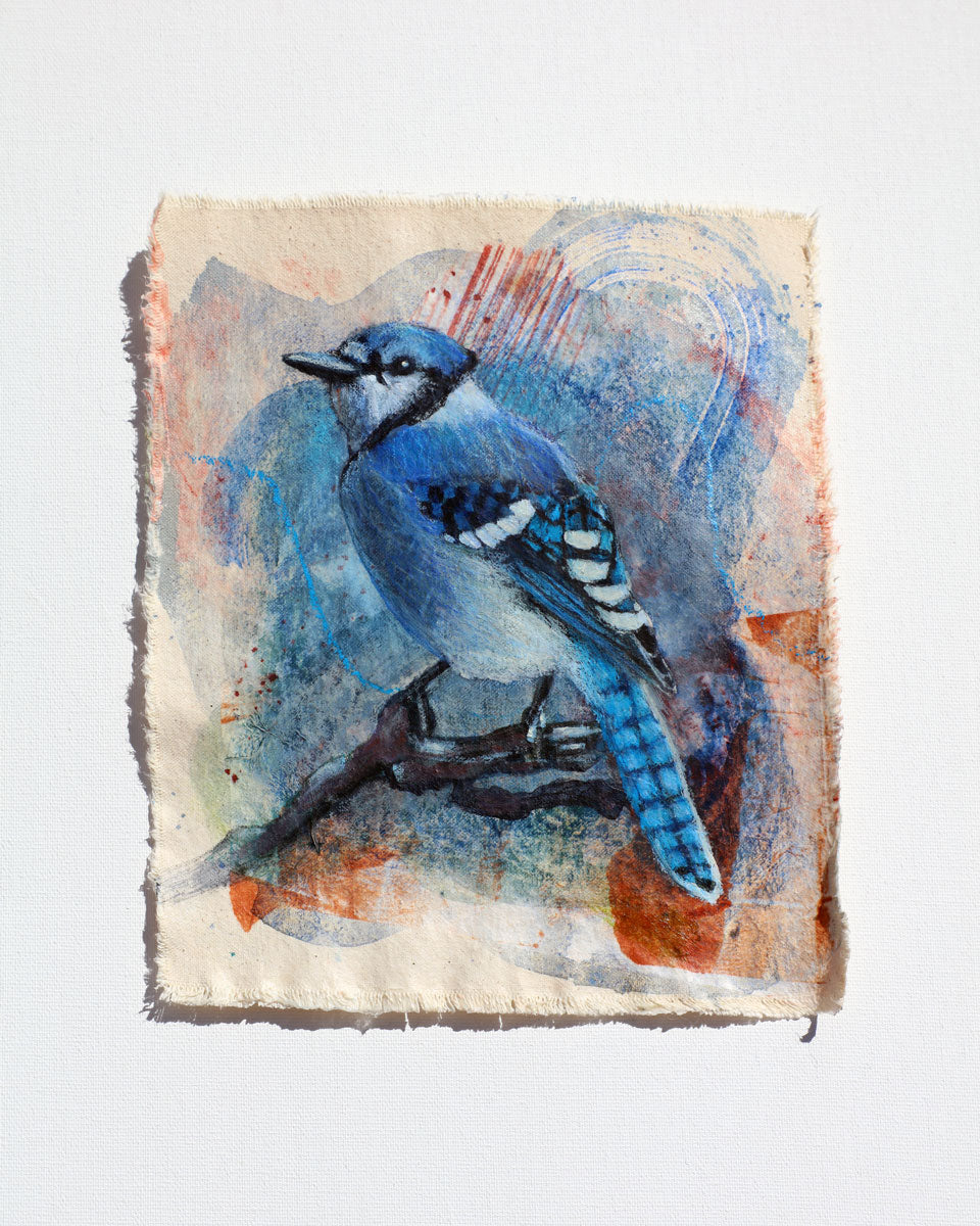 Case Study: Blue Jay