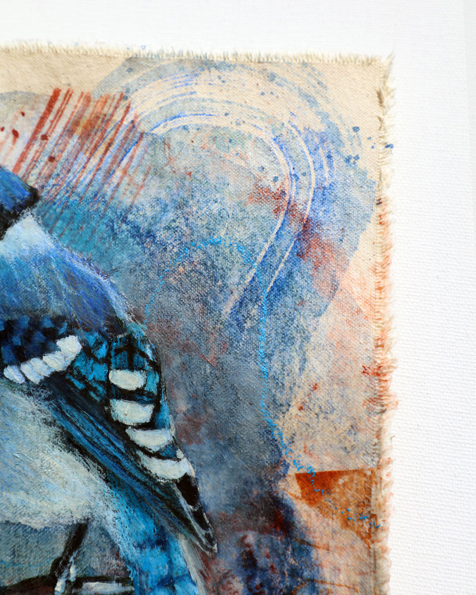 Case Study: Blue Jay