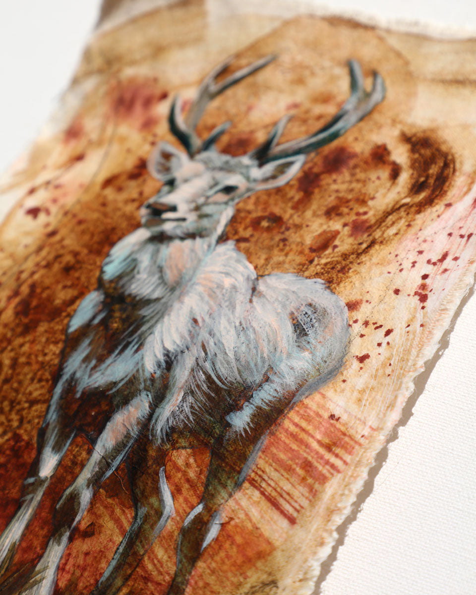 Case Study: Deer