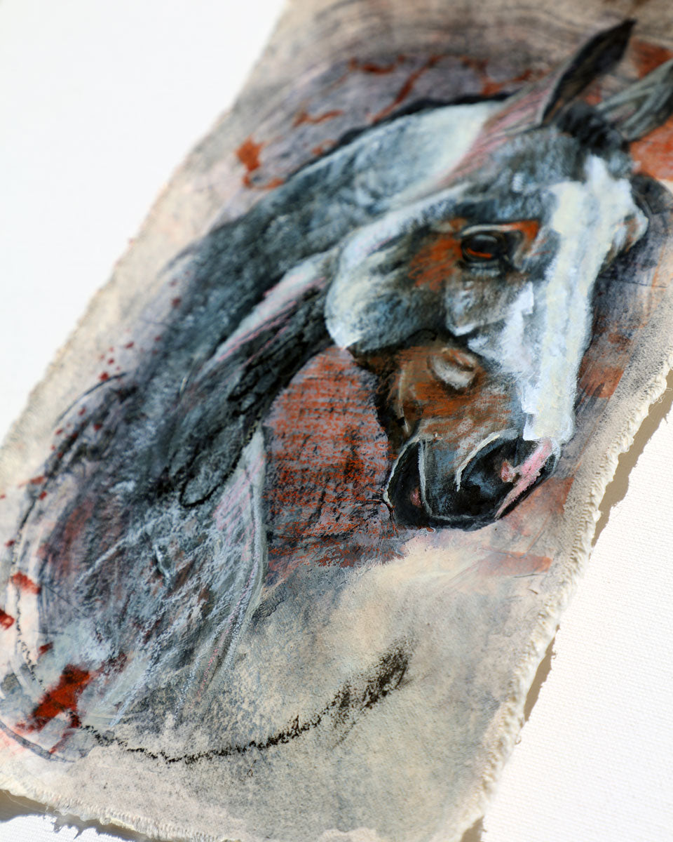Case Study: Horse