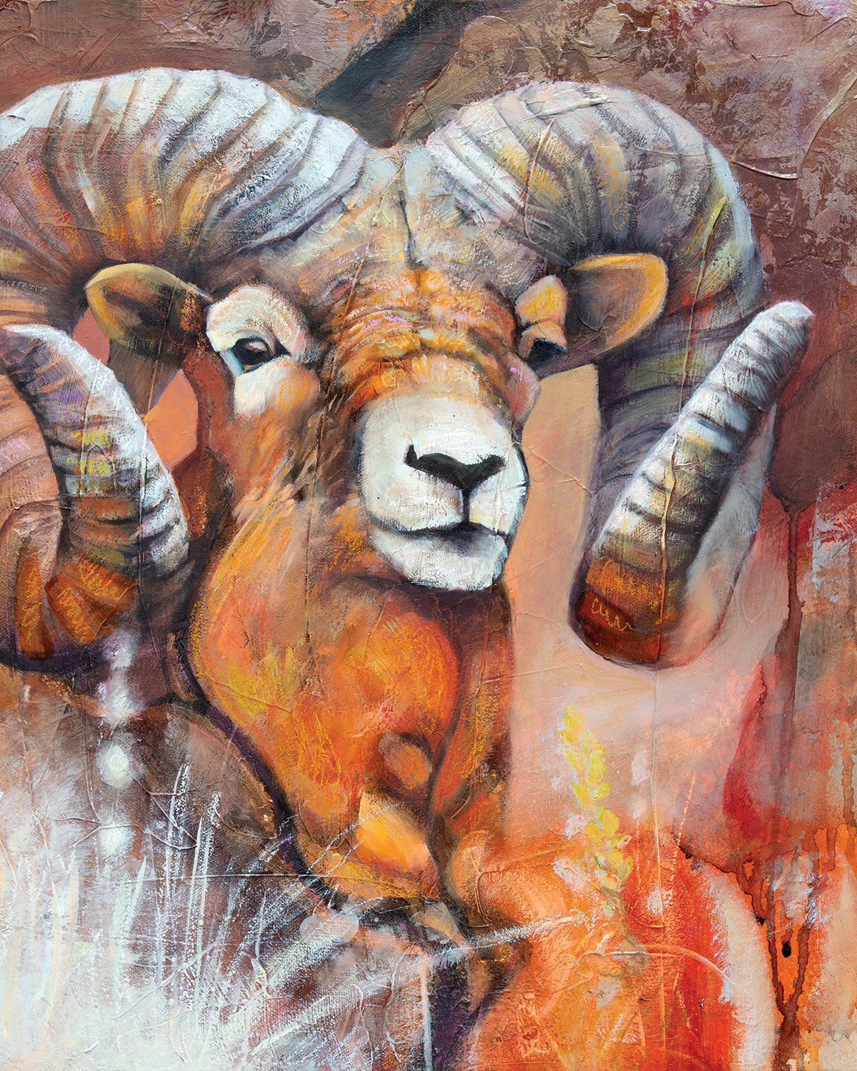 "Bold and Bright" Fine Art Print