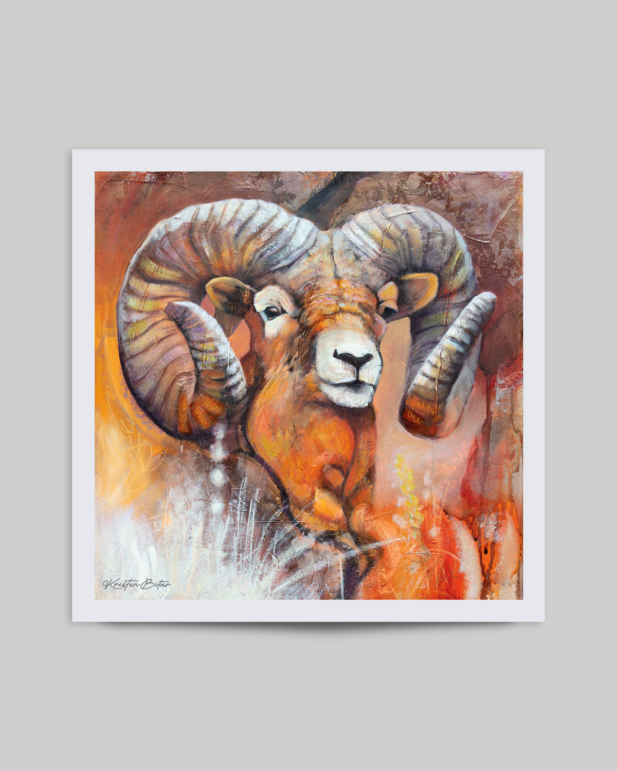 "Bold and Bright" Fine Art Print